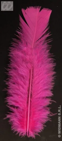 Zakje Met 50 Veertjes Magenta