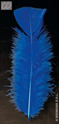 Zakje Met 50 Veertjes Blauw