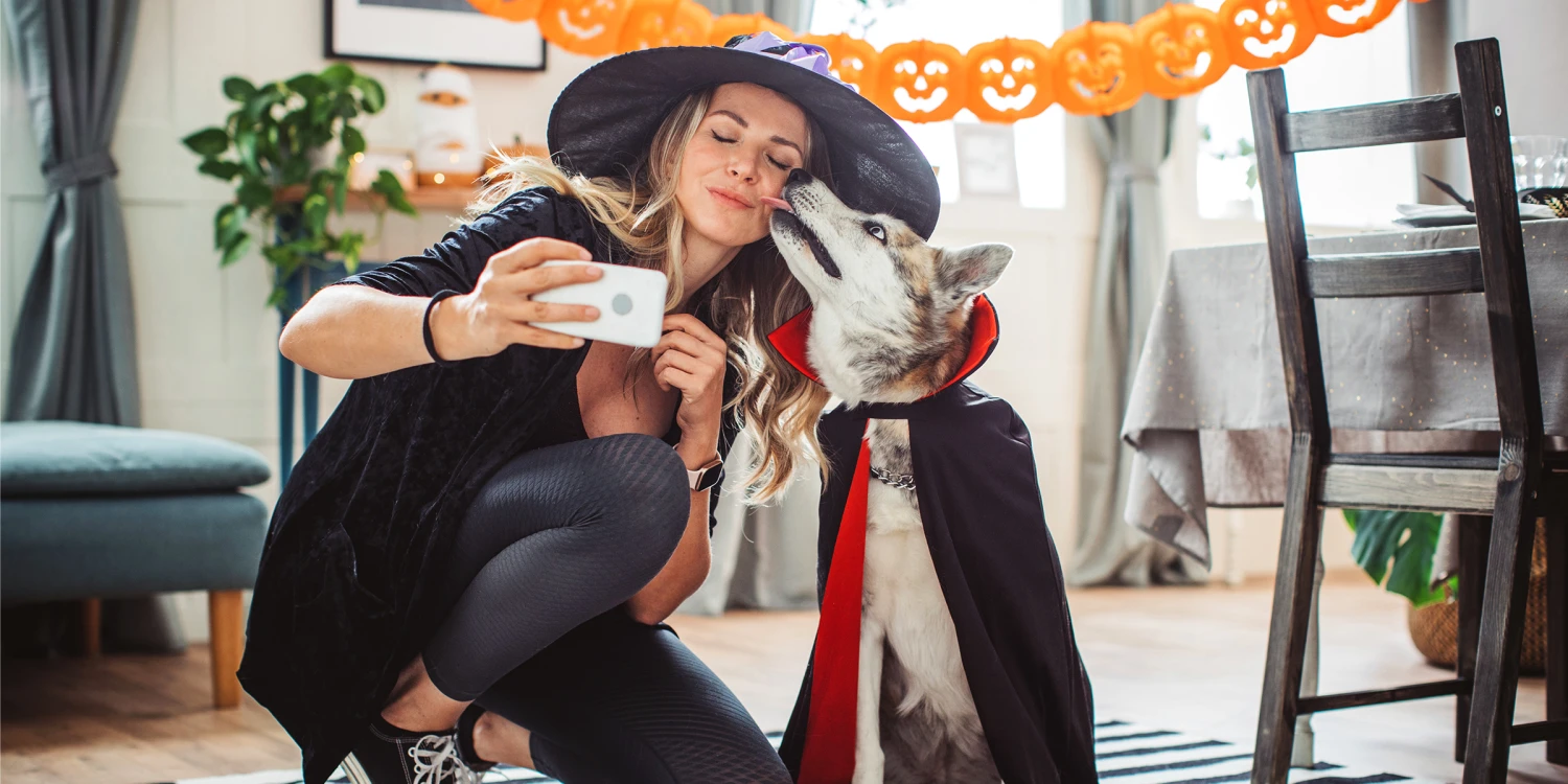 Toga Winkel -Toga Winkel 2