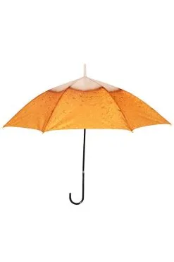 Paraplu Bier Goud Gele Rakker