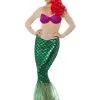 Zonder Meer Het Mooiste Zeemeermin Vrouw Kostuum